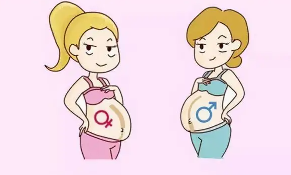 无锡41岁助孕男孩：如何预测胎儿的性别以及你有多少个胎儿!